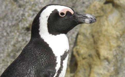 ���������������Z���x���