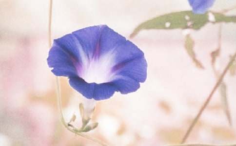 ����h�ʺ͠��������̰���ͨ��8ƪ��