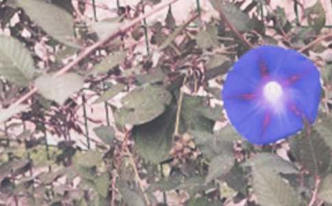 ��ţ���Ļ��Z(y��)�Ͳ��N����