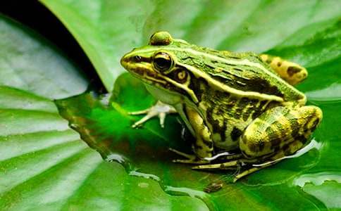 �����u�����̰���(y��u)��