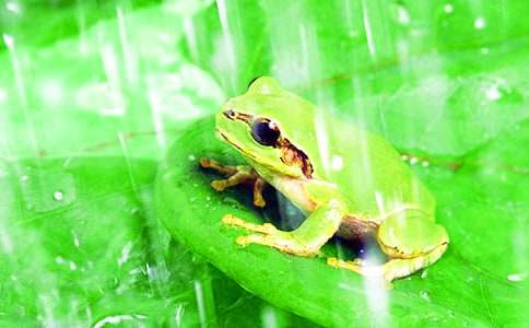 ���o(h��)�������ġ�����15ƪ��