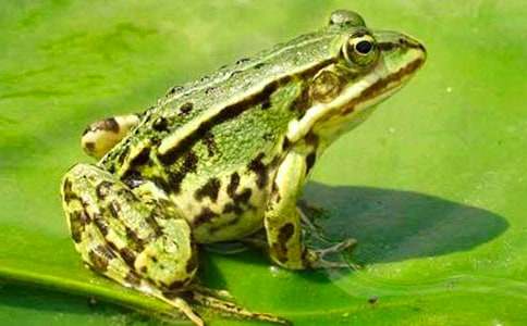 �����ܺϳ��F���x���