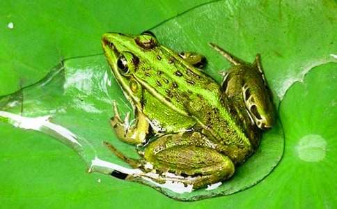 С�W(xu��)���꼉�σԡ����ܿ������̰�