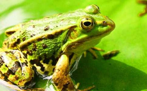 �������u�������̰�