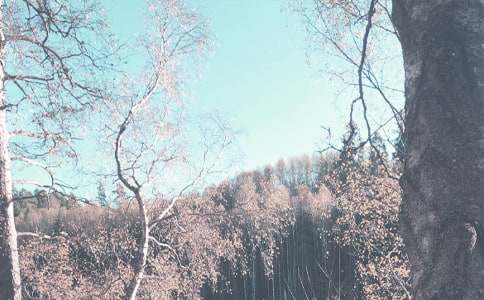 實(shí)用的秋季小班工作計(jì)劃3篇