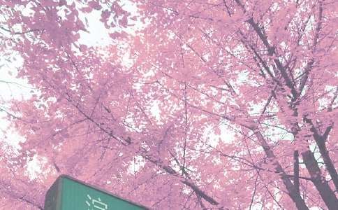 小班秋季個(gè)人工作計(jì)劃3篇