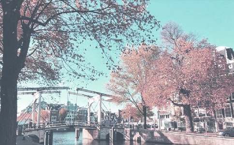 �＾С�W��ȫ����Ӌ��