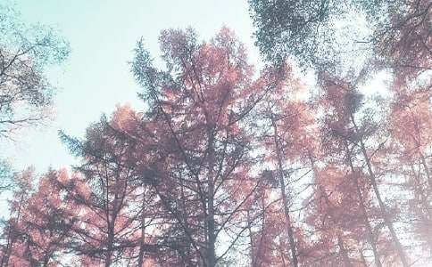 大班秋季工作計(jì)劃(通用17篇)