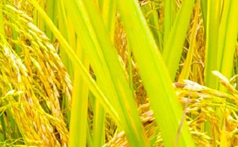 �l(xi��ng)�(zh��n)���պ���