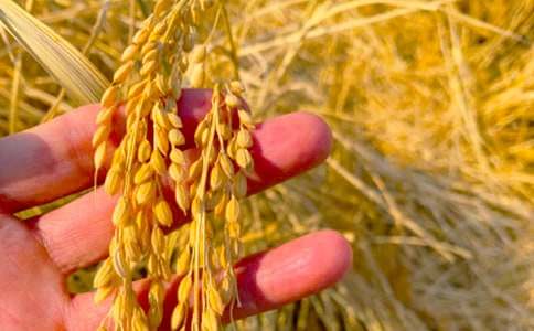 �l(xi��ng)�(zh��n)���պ���(b��o)��(j��ng)��[15ƪ]