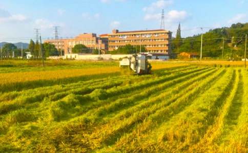 �������g��ȫ���a(ch��n)�[���z�麆��