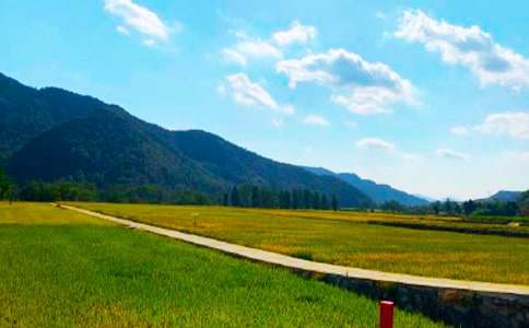 �l(xi��ng)�(zh��n)���պ�(ji��n)��(b��o)��(y��u)�x��15ƪ��