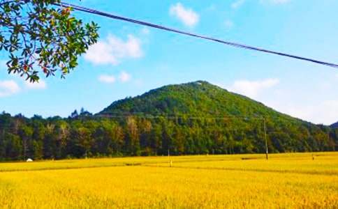 [ͨ��]�l(xi��ng)�(zh��n)���պ�(ji��n)��(b��o)