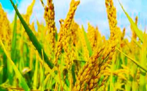 �l(xi��ng)�(zh��n)���պ��󼯺�[15ƪ]