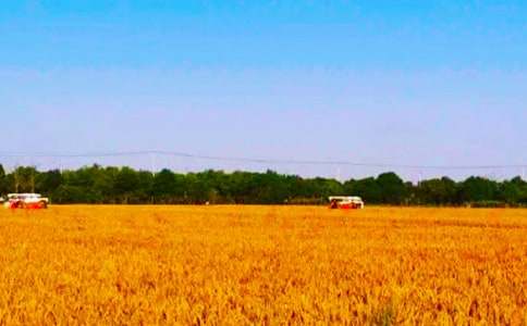 �l(xi��ng)�(zh��n)���պ�(ji��n)��(b��o)����15ƪ