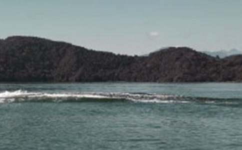 ����̶�Č����~15ƪ