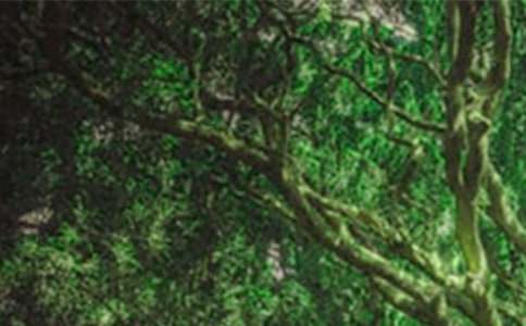 森林防火簡報【匯編15篇】