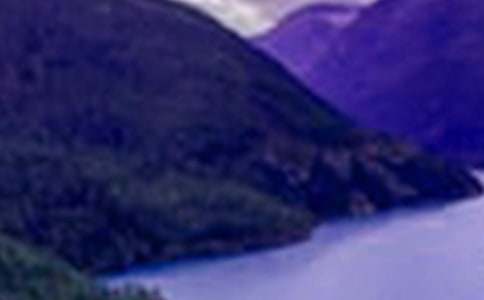 山水畫心得體會(通用19篇)