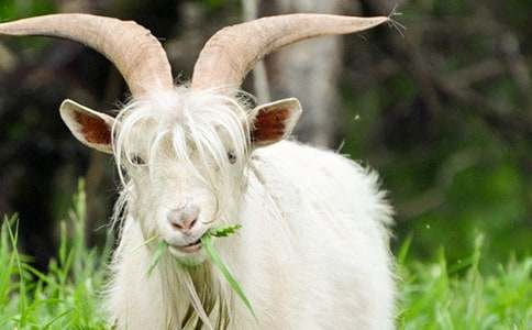 ɽ�򲻳����ò��x���(15ƪ)