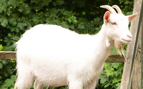 ɽ�򲻳����ò��x���