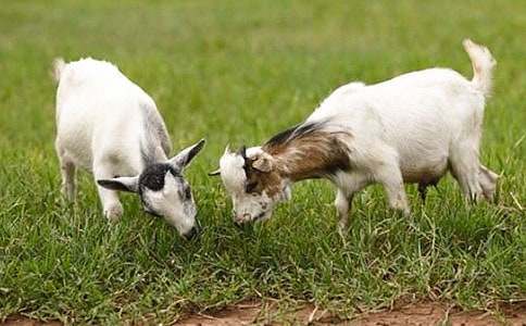 ɽ�򲻳����ò��x��С����]��