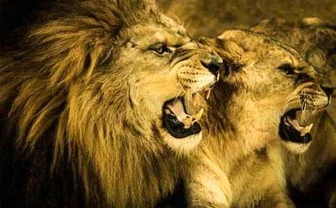 �����c�{���x���