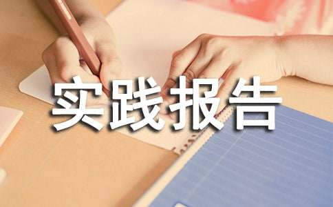 計算機售后服務(wù)社會實踐報告