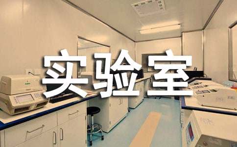 化學(xué)實驗室工作總結(jié)合集15篇