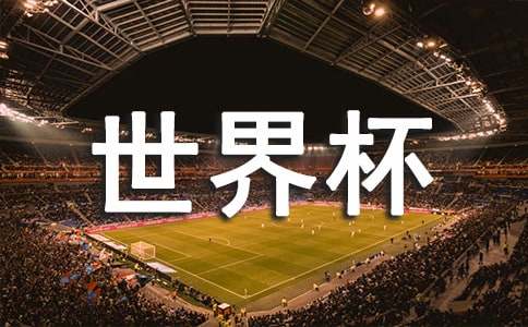 卡塔爾世界杯文明觀賽倡議書