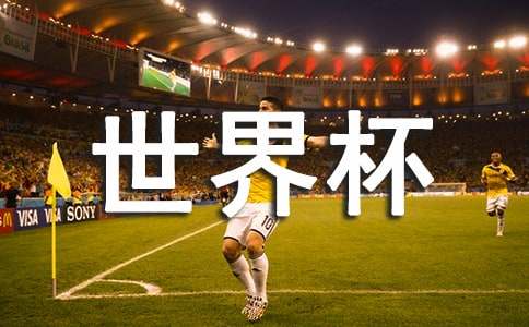 2022���籭�^���