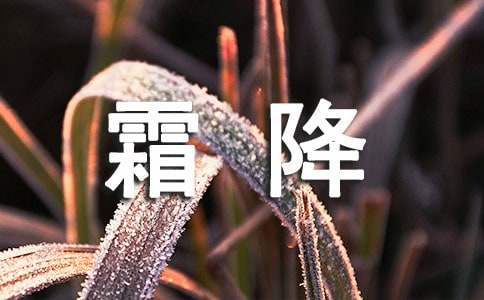 霜降節(jié)氣問候語