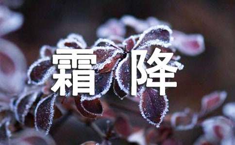 節(jié)氣霜降日問候語