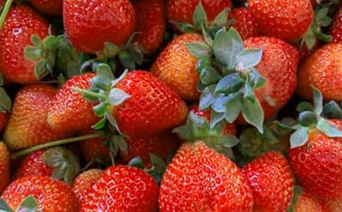 ˮ�����N���������x25ƪ��