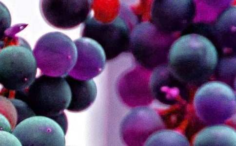 ˮ���I�u��ͬ(15ƪ)