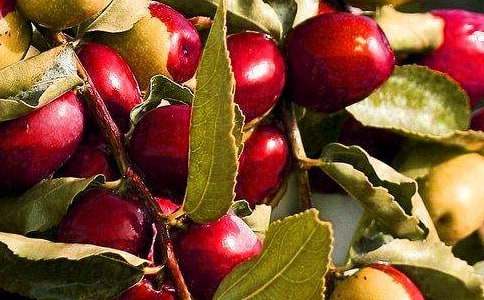 С�ࡶˮ������ȥ���С��Z�Խ̰�