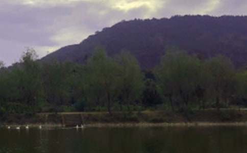 ˮ����ȹ������Y(ji��)9ƪ