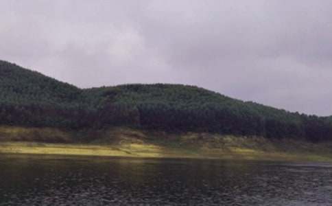 ˮ��(k��)��Ѵ�������Y(ji��)�����x11ƪ��