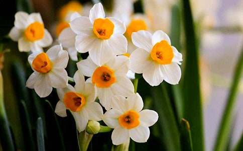 ˮ�ɻ����ġ��؂�15ƪ��