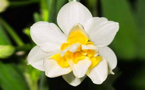 ˮ�ɻ�����15ƪ[��(j��ng)��]