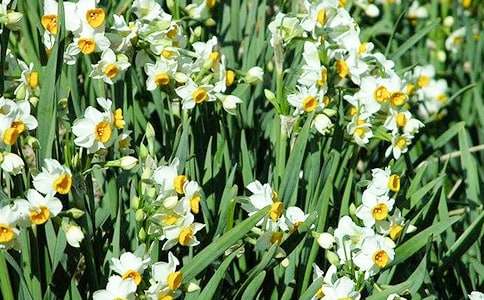 ˮ�ɻ����ġ��\��15ƪ��