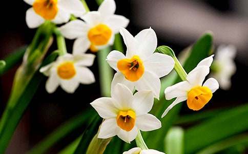 ����(y��u)�x��ˮ�ɻ�����