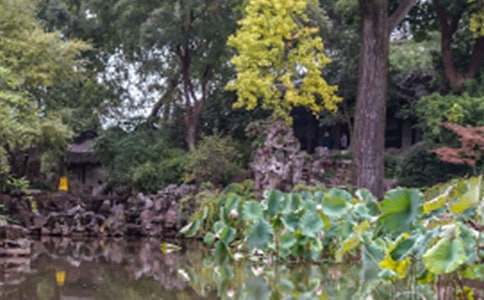 �K�݈@�֌�(d��o)���~����