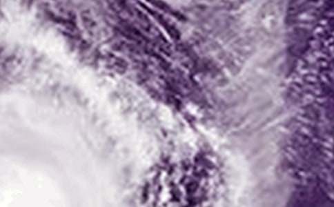 �_(t��i)�L(f��ng)�ĵ��w��(hu��)��(y��u)�㣨ͨ��24ƪ��