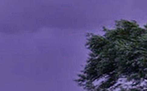 關(guān)于防臺風(fēng)通知匯編十篇