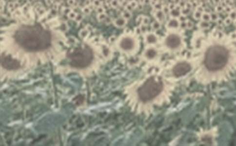 ��̫ꖻ����̰������x21ƪ��