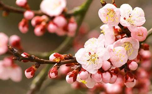 ���һ��Ļ��Z��ʲô���x