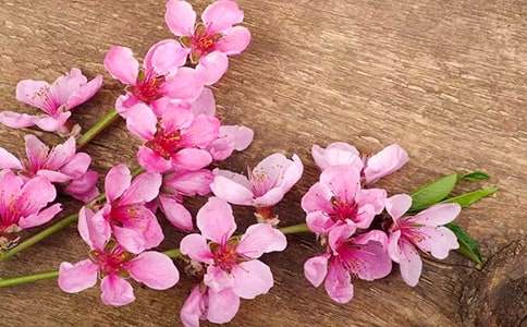 �����һ�ˮ�̰���(j��ng)��(15ƪ)