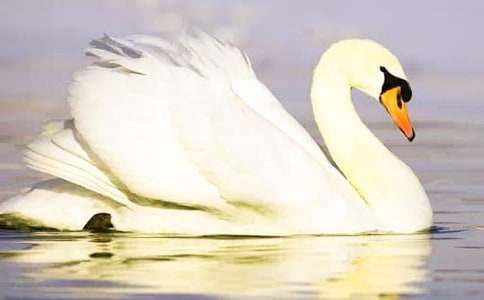 Ұ���Z�x��У�ͨ��26ƪ��