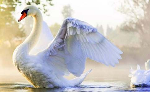 �����Z�Ĺ��¡��̰����ąR����ƪ