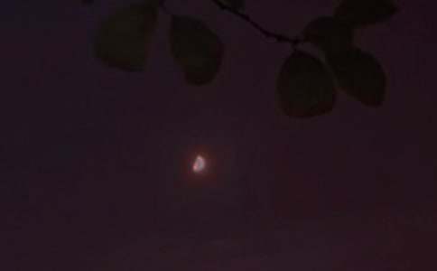 ���]��(l��)־�����Z䛣�ͨ��175�䣩